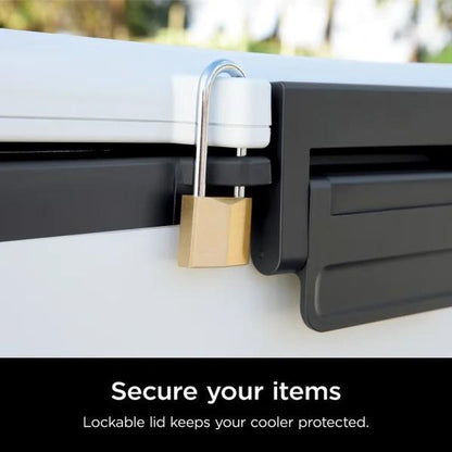 Ninja Frostvault Hard Cooler with Dry Zone FB151 - 30 Quart Capacity Heavy-Duty Construction Premium Ice Retention & Smart Packing for Outdoor Adventures